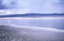 Flamingo Bird Sanctuary, Lake Nakuru